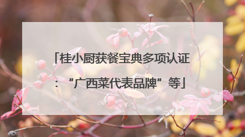 桂小厨获餐宝典多项认证：“广西菜代表品牌”等