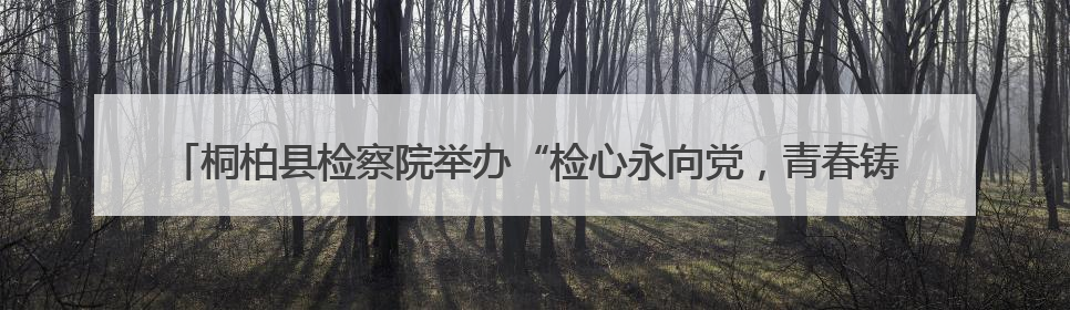 桐柏县检察院举办“检心永向党，青春铸忠诚”青年检察干警“实”迹展示活动