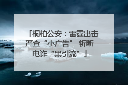 桐柏公安：雷霆出击严查“小广告” 斩断电诈“黑引流”