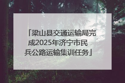 梁山县交通运输局完成2025年济宁市民兵公路运输集训任务