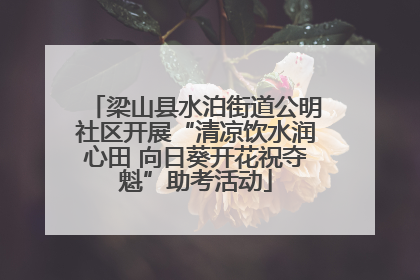 梁山县水泊街道公明社区开展“清凉饮水润心田 向日葵开花祝夺魁”助考活动