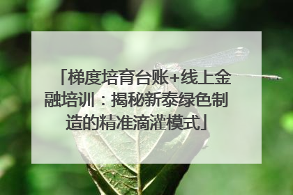 梯度培育台账+线上金融培训：揭秘新泰绿色制造的精准滴灌模式