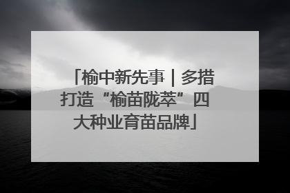 榆中新先事｜多措打造“榆苗陇萃”四大种业育苗品牌