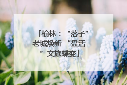 榆林：“落子”老城焕新 “盘活”文旅蝶变
