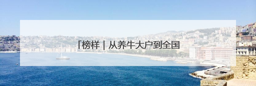 榜样｜从养牛大户到全国劳模：刘琴的不凡之路