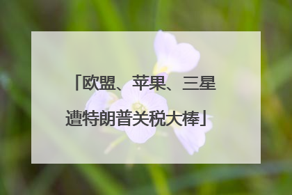 欧盟、苹果、三星遭特朗普关税大棒
