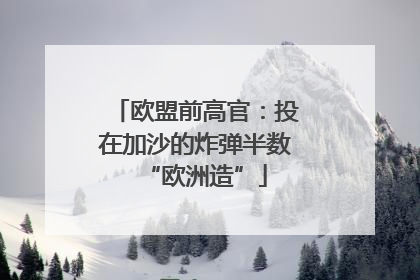 欧盟前高官：投在加沙的炸弹半数“欧洲造”