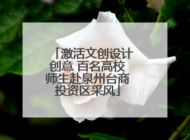激活文创设计创意 百名高校师生赴泉州台商投资区采风