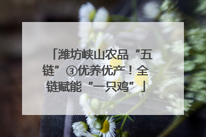 潍坊峡山农品“五链”③优养优产！全链赋能“一只鸡”