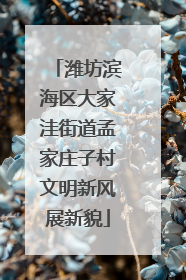 潍坊滨海区大家洼街道孟家庄子村文明新风展新貌