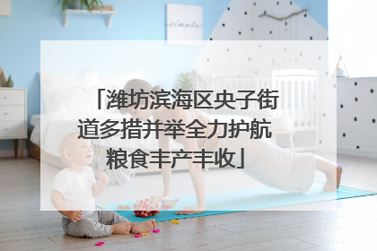潍坊滨海区央子街道多措并举全力护航粮食丰产丰收