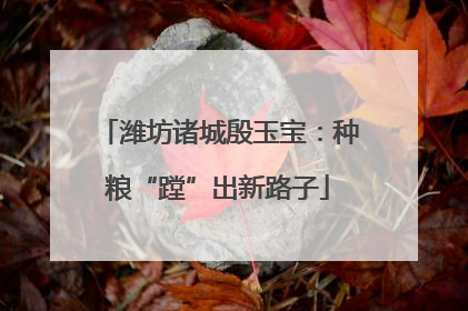 潍坊诸城殷玉宝：种粮“蹚”出新路子