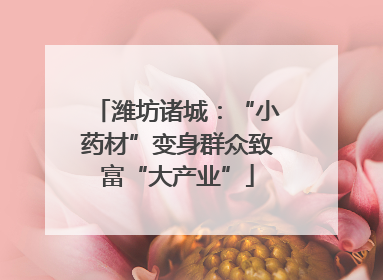 潍坊诸城：“小药材”变身群众致富“大产业”
