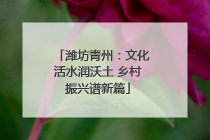 潍坊青州：文化活水润沃土 乡村振兴谱新篇