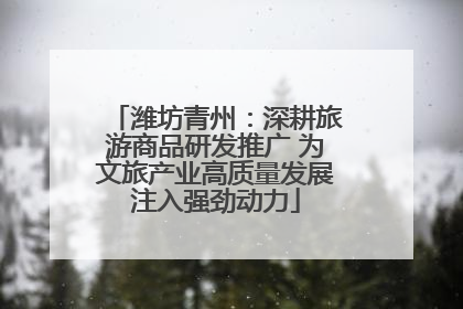 潍坊青州：深耕旅游商品研发推广 为文旅产业高质量发展注入强劲动力