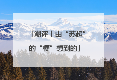 潮评丨由“苏超”的“梗”想到的