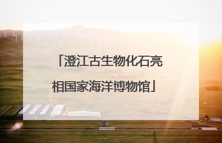 澄江古生物化石亮相国家海洋博物馆