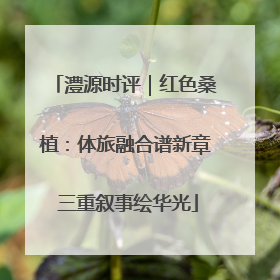 澧源时评｜红色桑植：体旅融合谱新章 三重叙事绘华光