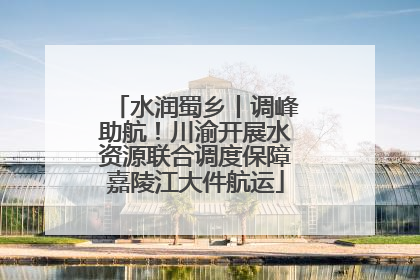 水润蜀乡丨调峰助航！川渝开展水资源联合调度保障嘉陵江大件航运