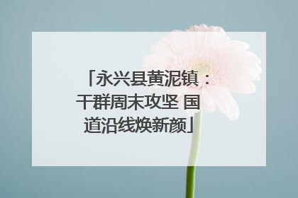 永兴县黄泥镇：干群周末攻坚 国道沿线焕新颜