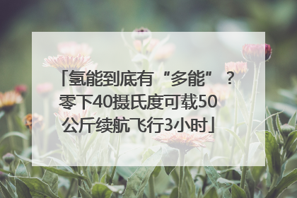 氢能到底有“多能”？零下40摄氏度可载50公斤续航飞行3小时