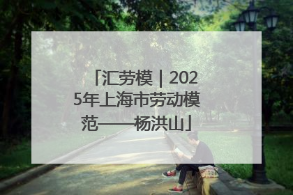汇劳模｜2025年上海市劳动模范——杨洪山