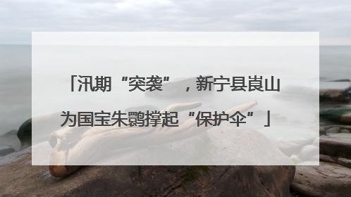 汛期“突袭”，新宁县崀山为国宝朱鹮撑起“保护伞”