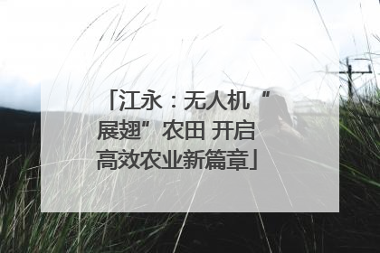 江永：无人机“展翅”农田 开启高效农业新篇章