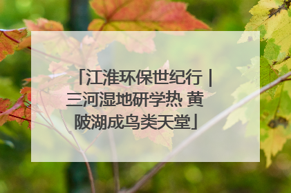 江淮环保世纪行｜三河湿地研学热 黄陂湖成鸟类天堂