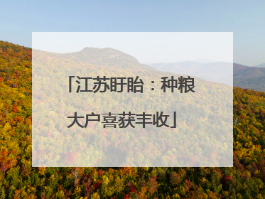 江苏盱眙：种粮大户喜获丰收