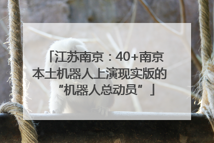 江苏南京：40+南京本土机器人上演现实版的“机器人总动员”