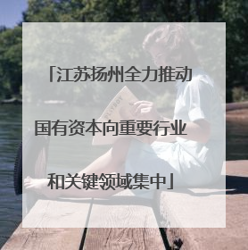 江苏扬州全力推动国有资本向重要行业和关键领域集中