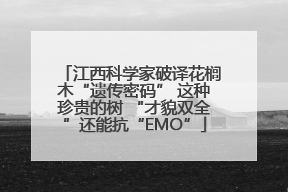 江西科学家破译花榈木“遗传密码” 这种珍贵的树 “才貌双全”还能抗“EMO”