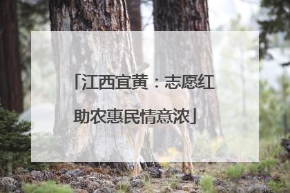 江西宜黄：志愿红助农惠民情意浓