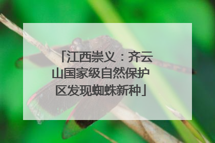 江西崇义：齐云山国家级自然保护区发现蜘蛛新种
