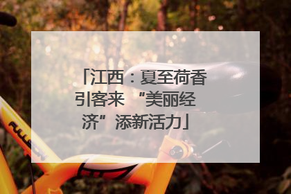江西：夏至荷香引客来 “美丽经济”添新活力