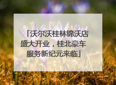 沃尔沃桂林锦沃店盛大开业，桂北豪车服务新纪元来临