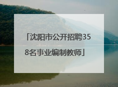 沈阳市公开招聘358名事业编制教师
