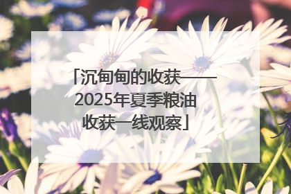 沉甸甸的收获——2025年夏季粮油收获一线观察