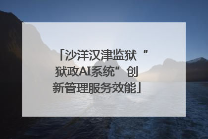 沙洋汉津监狱“狱政AI系统”创新管理服务效能