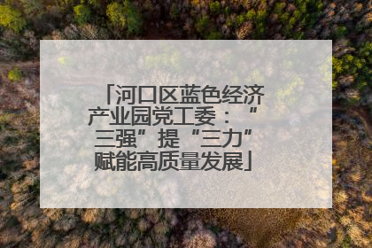 河口区蓝色经济产业园党工委：“三强”提“三力”赋能高质量发展