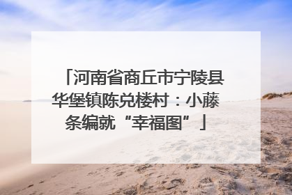 河南省商丘市宁陵县华堡镇陈兑楼村：小藤条编就“幸福图”