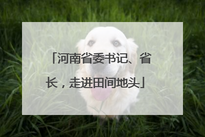 河南省委书记、省长，走进田间地头