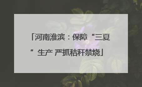 河南淮滨：保障“三夏”生产 严抓秸秆禁烧