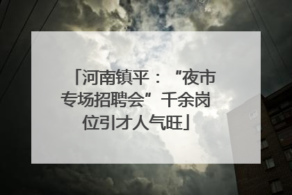 河南镇平：“夜市专场招聘会”千余岗位引才人气旺