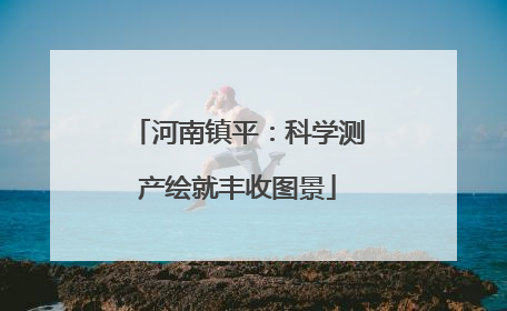 河南镇平：科学测产绘就丰收图景