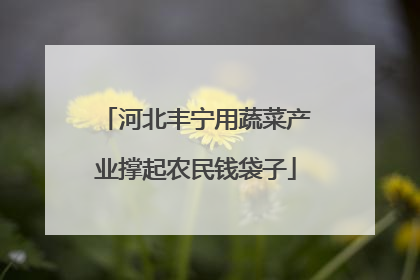 河北丰宁用蔬菜产业撑起农民钱袋子