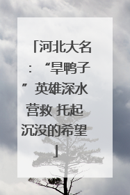 河北大名：“旱鸭子”英雄深水营救 托起沉没的希望
