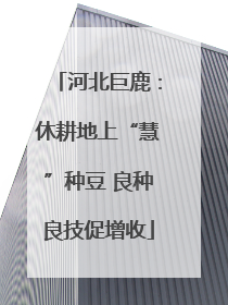 河北巨鹿：休耕地上“慧”种豆 良种良技促增收