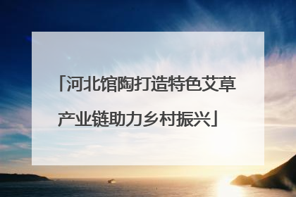 河北馆陶打造特色艾草产业链助力乡村振兴
